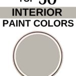 Sherwin Williams Top 50 Interior Paint Colors -Mindful Gray Pinterest Graphic
