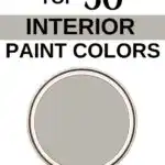 Sherwin Williams Top 50 Interior Paint Colors -Mindful Gray Pinterest Graphic