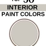Sherwin Williams Top 50 Interior Paint Colors - Repose Gray- Pinterest Graphic