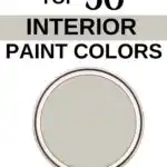 Sherwin Williams Top 50 Interior Paint Colors - Repose Gray- Pinterest Graphic