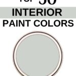 Sherwin Williams Top 50 Interior Paint Colors - Sea Salt-Pinterest Graphic