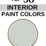 Sherwin Williams Top 50 Interior Paint Colors - Sea Salt-Pinterest Graphic