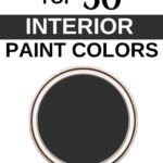Sherwin Williams Top 50 Interior Paint Colors -Tricorn Black- Pinterest Graphic