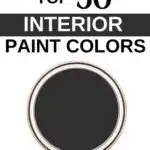 Sherwin Williams Top 50 Interior Paint Colors -Tricorn Black- Pinterest Graphic