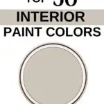 Sherwin Williams Top 50 Interior Paint Colors -Worldly Gray- Pinterest Graphic