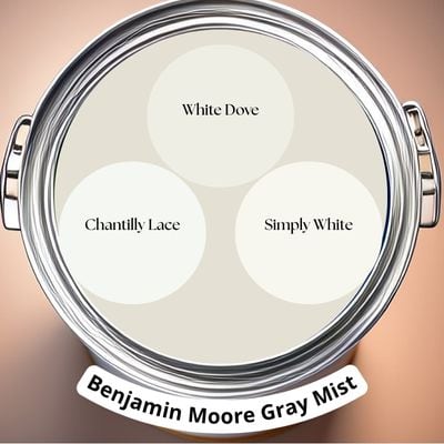 Trim colors for BM Gray Mist Digital Paint Can swatch