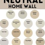 Warm Neutral Home Wall Paint Color