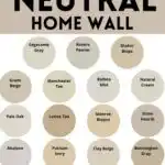 Warm Neutral Home Wall Paint Color