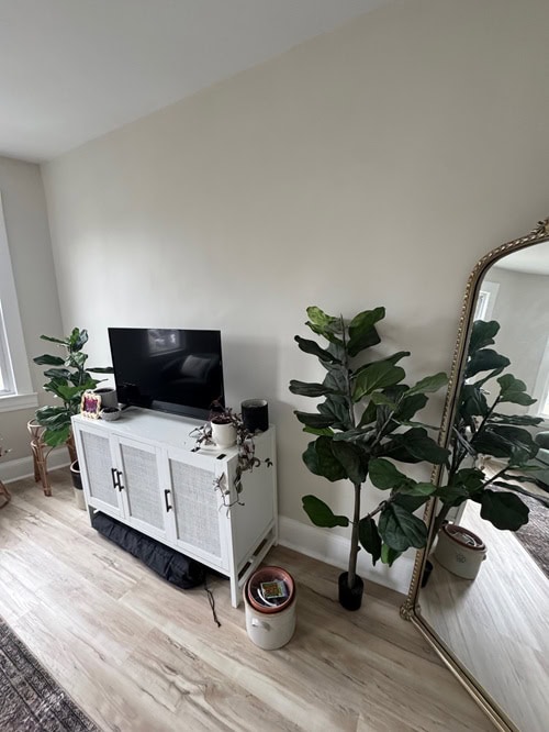 living room with tv stand, tv and large mirror