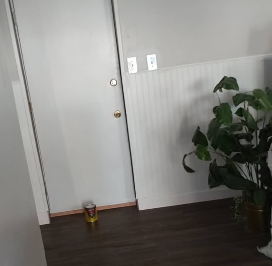 Alpaca painted walls with white beadboard