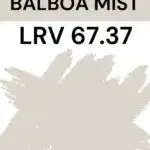 BM Balboa Mist - LRV 67.37 Pinterest Graphic