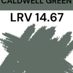 BM Caldwell Green - LRV 14.67 Pinterest Graphic