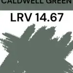 BM Caldwell Green - LRV 14.67 Pinterest Graphic