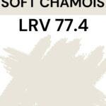 BM Soft Chamois LRV 77.4-Pinterest Graphic