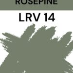 Benjamin moore rosepine- LRV 14- Pinterest Graphic