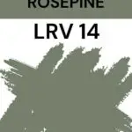Benjamin moore rosepine- LRV 14- Pinterest Graphic