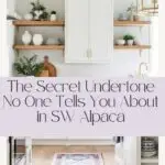 The Secret Undertone No One Tells You About in SW Alpaca - Pinterest Graphic