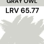 Gray Owl - LRV 65.77- Pinterest Graphic