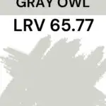Gray Owl - LRV 65.77- Pinterest Graphic