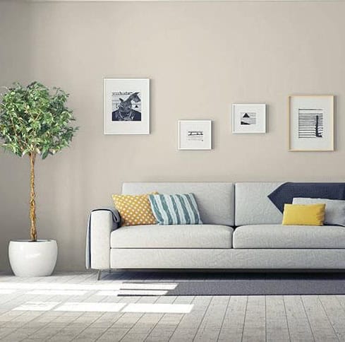 Living room with Dust Bunny paint on walls and couch with pillows