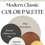 PPG Dust Bunny Modern Classic paint Color Palette - Pinterest Graphic