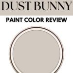 PPG Dust Bunny- Paint Color Review