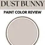 PPG Dust Bunny- Paint Color Review