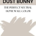PPG Dust Bunny home wall color - Pinterest Graphic