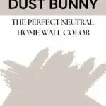 PPG Dust Bunny home wall color - Pinterest Graphic