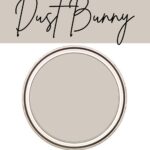 PPG Dust bunny- warm neutral paint color Pinterest Graphic
