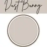 PPG Dust bunny- warm neutral paint color Pinterest Graphic