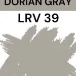 SW Dorian Gray- LRV 39 Pinterest Graphic