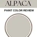 Sherwin Williams Alpaca- Paint Color Review - Pinterest Graphic