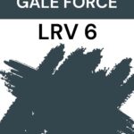 Sherwin Williams Gale FOrce LRV 6 - Pinterest Graphic