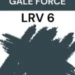 Sherwin Williams Gale FOrce LRV 6 - Pinterest Graphic