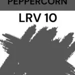 Sherwin Williams Peppercorn- LRV 10- Pinterest Graphic