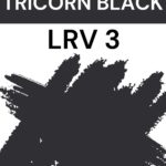 Sherwin Williams Tricorn Black LRV 3 - Pinterest Graphic