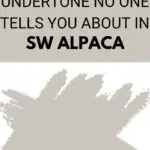The Secret Undertone No One Tells You About in SW Alpaca - Pinterest Graphic