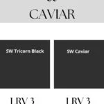 Tricorn black vs caviar-pinterest graphic