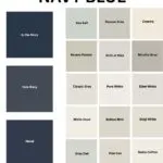 paint colors that work with navy blue