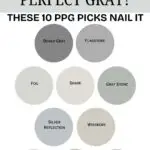 Looking for the Perfect Gray These 10 PPG Picks Nail It - Pinterest Grahic