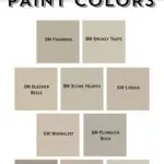 Mushroom paint colors - pinterest graphic