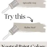 Neutral Paint Colors That’ll Surprise You - pinterest graphic