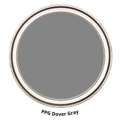 PPG Dover Gray Digital Paint Can swatch