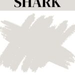 PPG Shark A Soft, Warm Gray with Subtle Sass- Pinterest Graphic