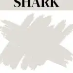 PPG Shark A Soft, Warm Gray with Subtle Sass- Pinterest Graphic