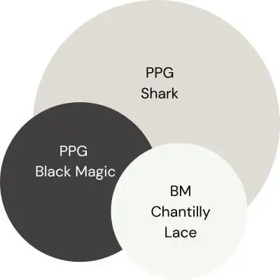 PPG Shark Color Palette digital swatches