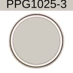 PPG Whiskers - A totally underrated neutral paint color- pinterest graphic