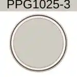 PPG Whiskers - A totally underrated neutral paint color- pinterest graphic