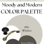 PPG Whiskers Moody and Modern paint Color Palette -Pinterest graphic